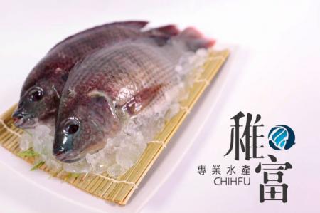 台灣鯛魚SGS認証